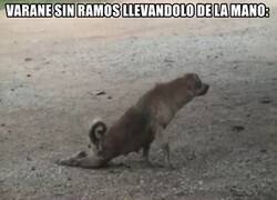 Enlace a ¿Qué le pasó a Varane?