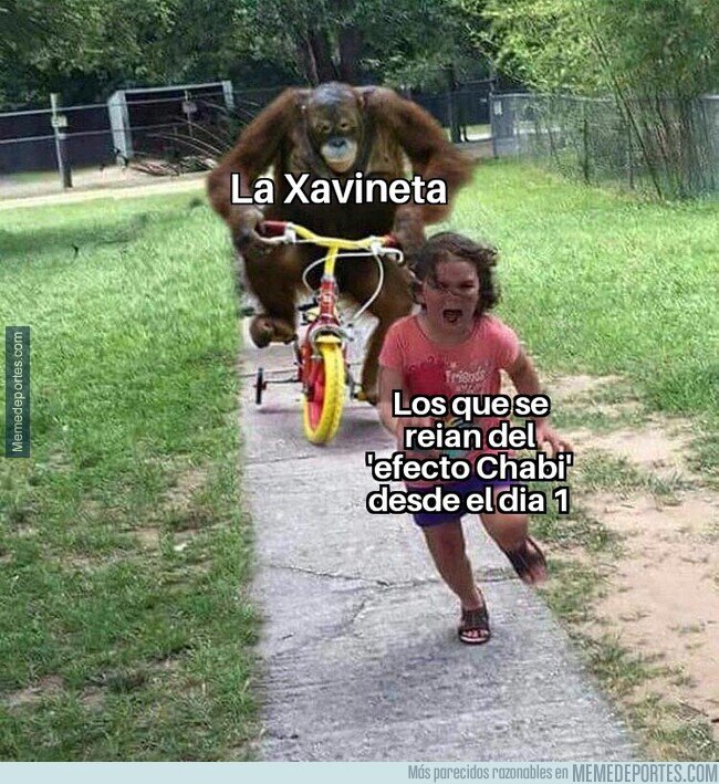 1155981 - Se arrepienten de sus palabras