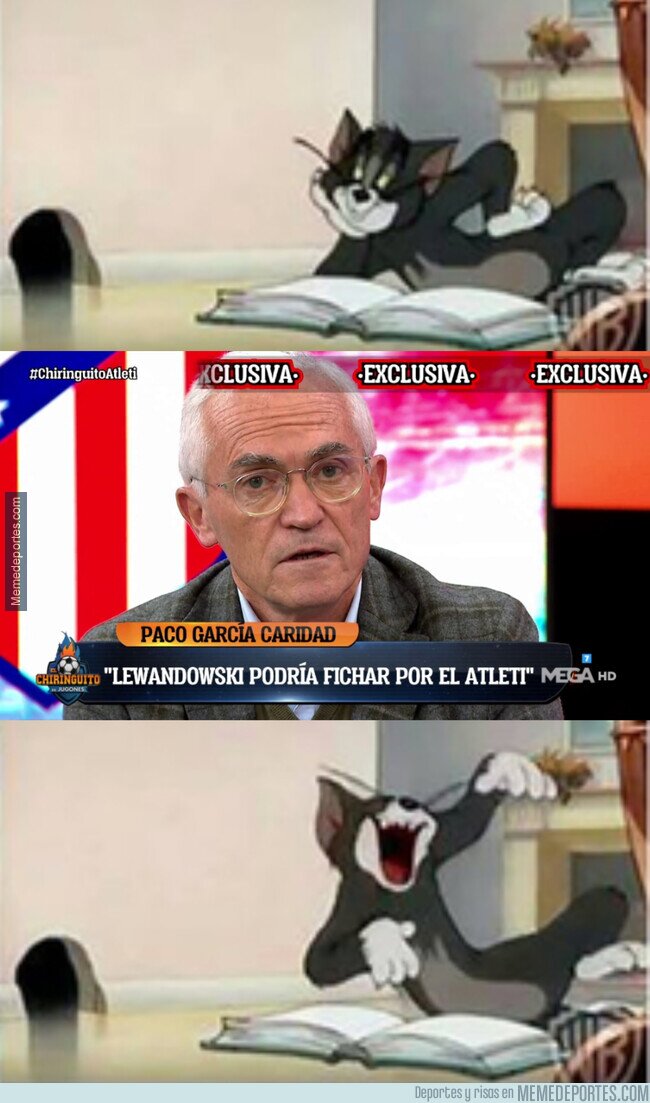 1156053 - Adoro los programas de humor nocturnos