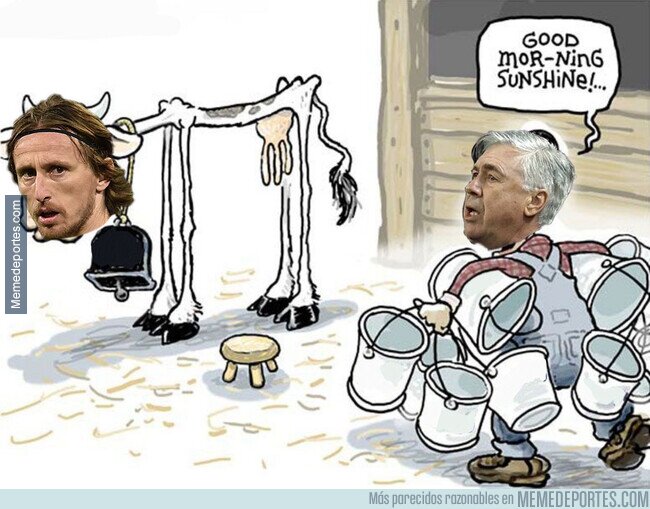 1156302 - La rotación son los padres