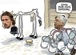 Enlace a La rotación son los padres