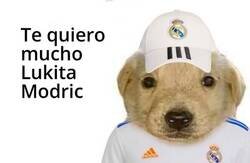 Enlace a Pedazo de jugador