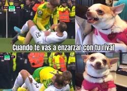 Enlace a No puedes enfadarte con Eriksen