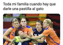 Enlace a ¡Ven aquí, Misifú!