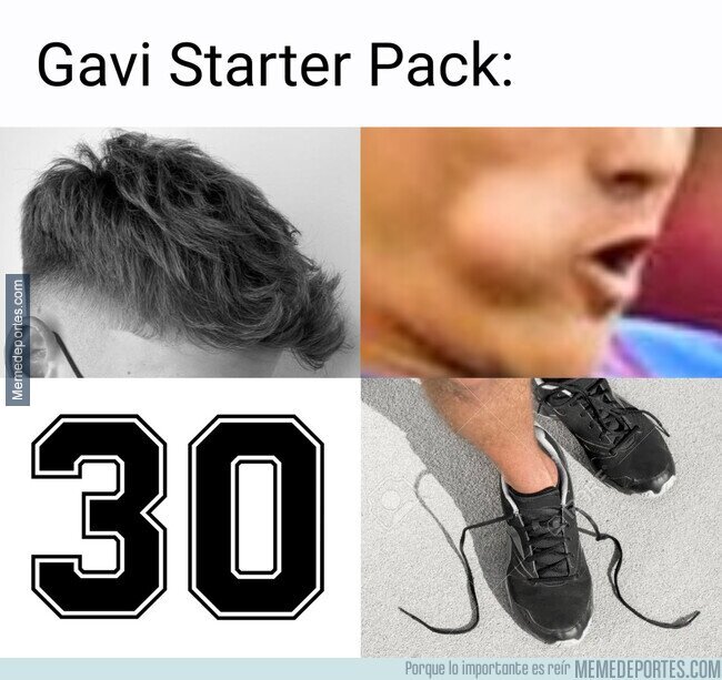 1157047 - Cómo ser un buen Gavi