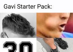 Enlace a Cómo ser un buen Gavi