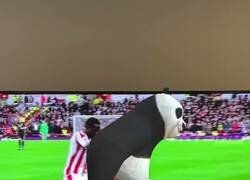 Enlace a Qué bien le va a Borja Iglesias en la Premier