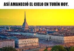 Enlace a La oleada amarilla no se ha ido