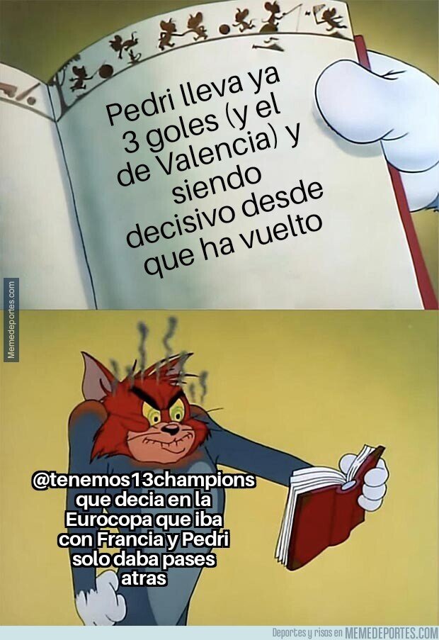 1157271 - Ya escocía desde verano