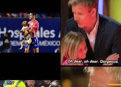 Enlace a ¿Por qué no pueden haber más perritos invasores?