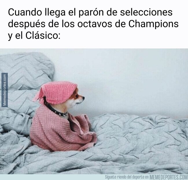1157696 - No me quitéis el fútbol de clubs ahora...