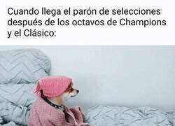 Enlace a No me quitéis el fútbol de clubs ahora...