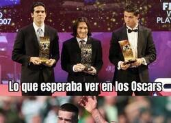 Enlace a Will, ¿qué hiciste?