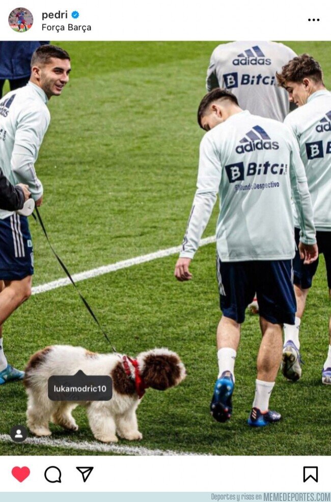 1158014 - Esto no me lo esperaba de Pedri