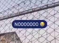 Enlace a La paciencia que debe tener el entrenador...