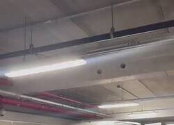 Enlace a Jonathan Calleri le tira el teléfono a un chico de 14 años tras perder la final contra Palmeiras