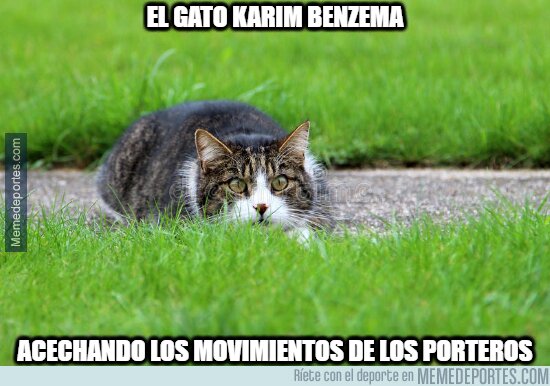 1158526 - Casualidas no lo creo