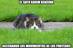 Enlace a Casualidas no lo creo