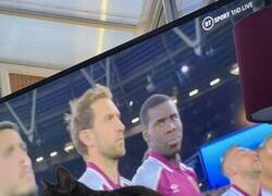 Enlace a Se siente la tensión en el aire