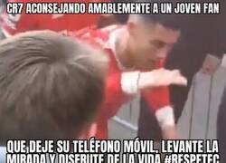 Enlace a Todo un ejemplo el bicho