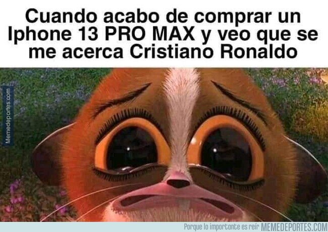 1158862 - Por favor, no.