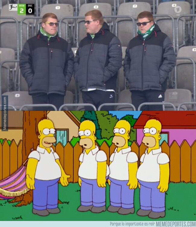 1158890 - Un aficionado del Wolfsburgo se metió en la hamaca de Homer