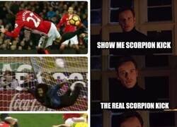 Enlace a El aguijón de Maguire