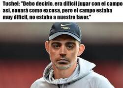 Enlace a Al menos Xavi se queja de los campos ajenos