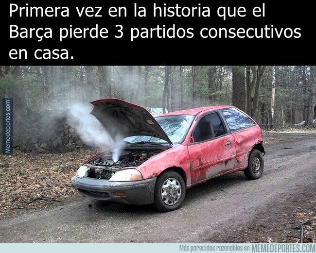 1160094 - La Xavineta ha muerto