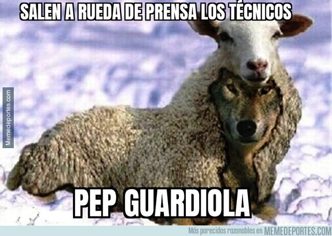 1160179 - Que se te nota Pep. Un lobo con piel de cordero.