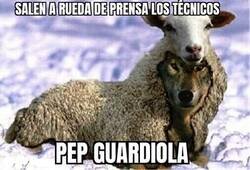 Enlace a Que se te nota Pep. Un lobo con piel de cordero.