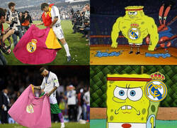 Enlace a La evolución del capote