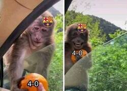 Enlace a Toma, llévate tu naranja y no vuelvas.