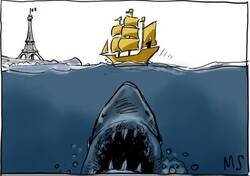 Enlace a El tiburón blanco vuelve a las andadas