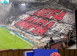 Enlace a Mirando para otro lado