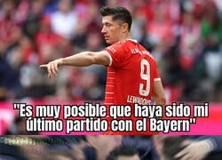 Enlace a En la Xavineta se relamen