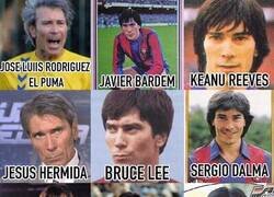 Enlace a Las diferentes facetas del Lobo Carrasco