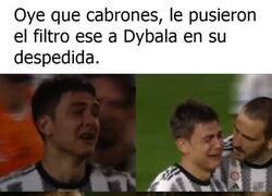 Enlace a ¿Cómo que no tiene filtro?