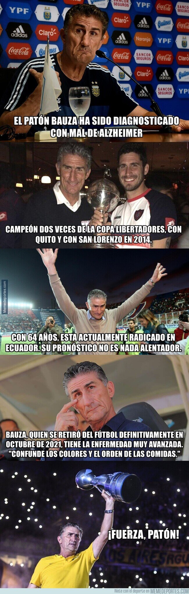 1161872 - Desgarrador diagnóstico para el Patón Bauza