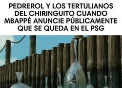 Enlace a Ni Haaland ni Mbappé, ¿de quién hablarán ahora?