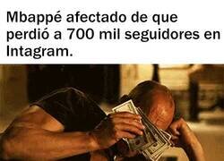 Enlace a Pobre tortuga