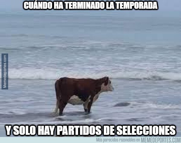 1162867 - Lo peor de que acabe la temporada