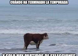 Enlace a Lo peor de que acabe la temporada