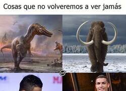 Enlace a El meme triste del fin de semana