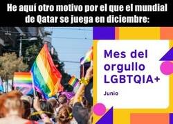 Enlace a Lo pensaron muy bien