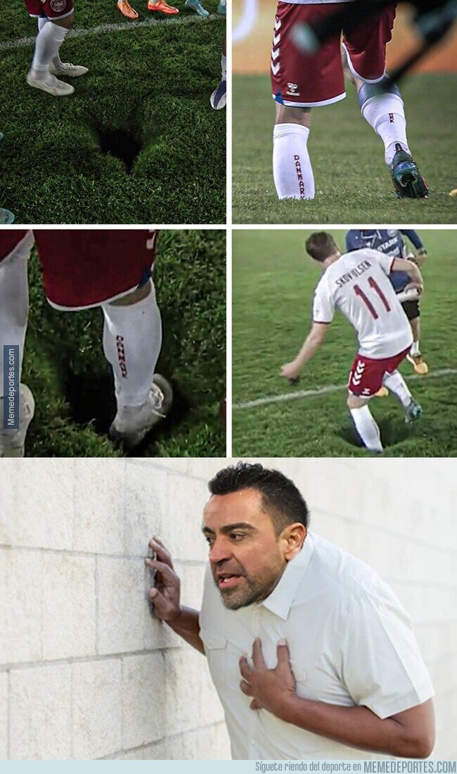 1163231 - Un enorme agujero apareció en la cancha del Austria - Dinamarca