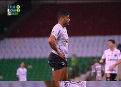 Enlace a Estoy seguro que cuando Hulk se sube a un bus le cobran por dos.