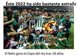 Enlace a Menudo año