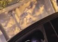 Enlace a Dembélé confirma con un fanático que se queda en el Barça. Sacá del medio, Fabrizio.