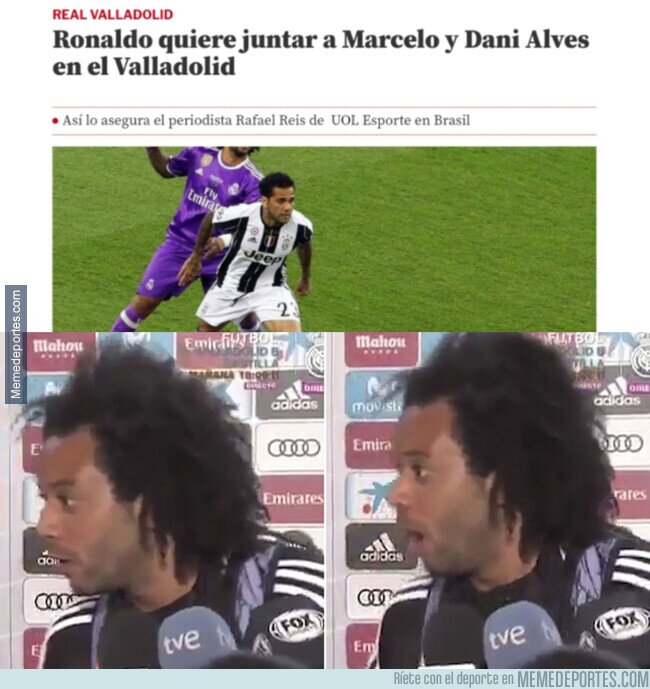 1163923 - Sería lo más random del mercado